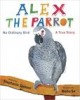 Alex the Parrot No Ordinary Bird  A True Story
