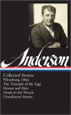 Sherwood Anderson Collected Stories