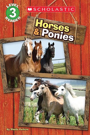 Horses and Ponies (Scholastic Reader, Level 3) by Sheila Perkins