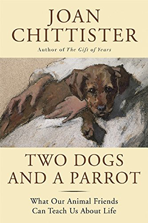 Two Dogs and a Parrot by Joan Chittister