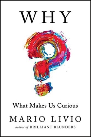 Why?: What Makes Us Curious by Mario Livio